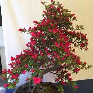 Meet your Posher, Maryann